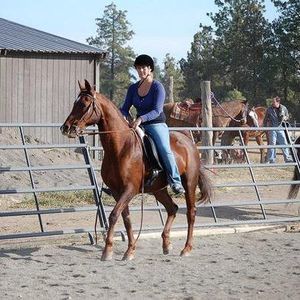 Meet your Posher, Samantha